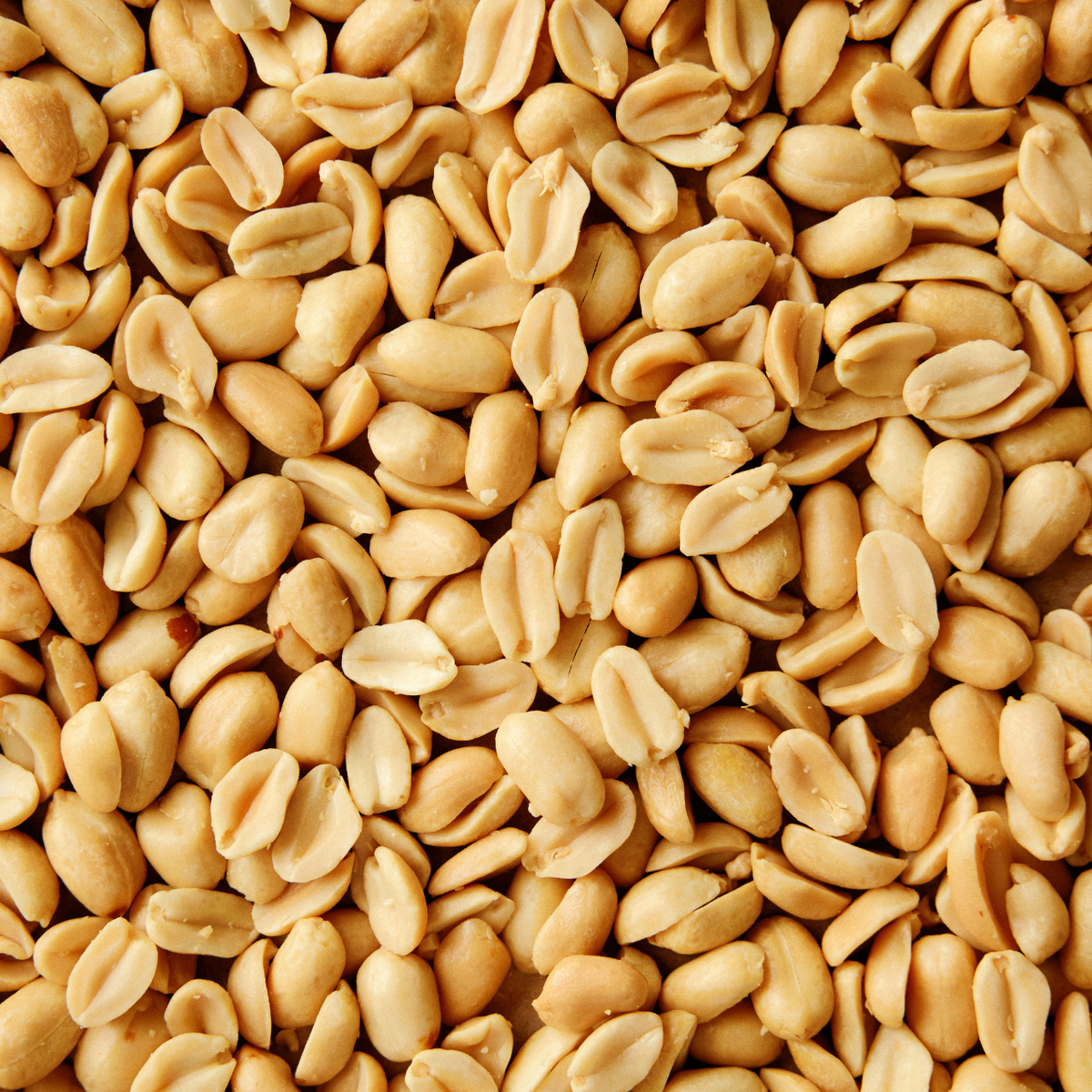 Oat Bar Mini - peanut chocolate