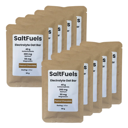 Electrolyte Oat Bar (60g) - SaltFuels