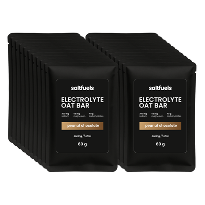 10x Electrolyte Oat Bar (60g)
